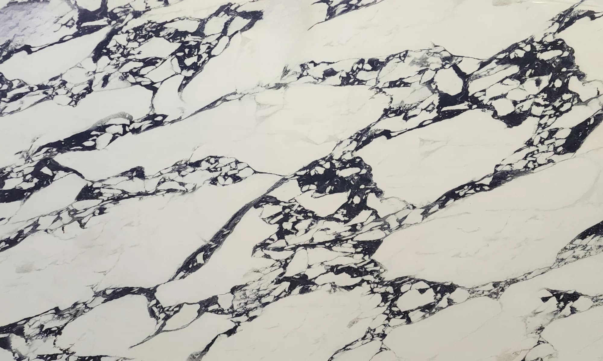 Arabescato Corchia, quartz slab in the Dallas showroom
