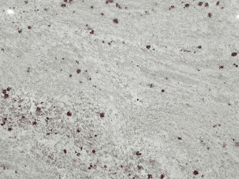 Amba White, granite, slab